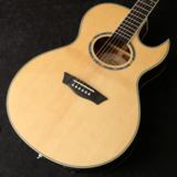šWashburn / EA20SNBڸοHARVEST_GUITARS