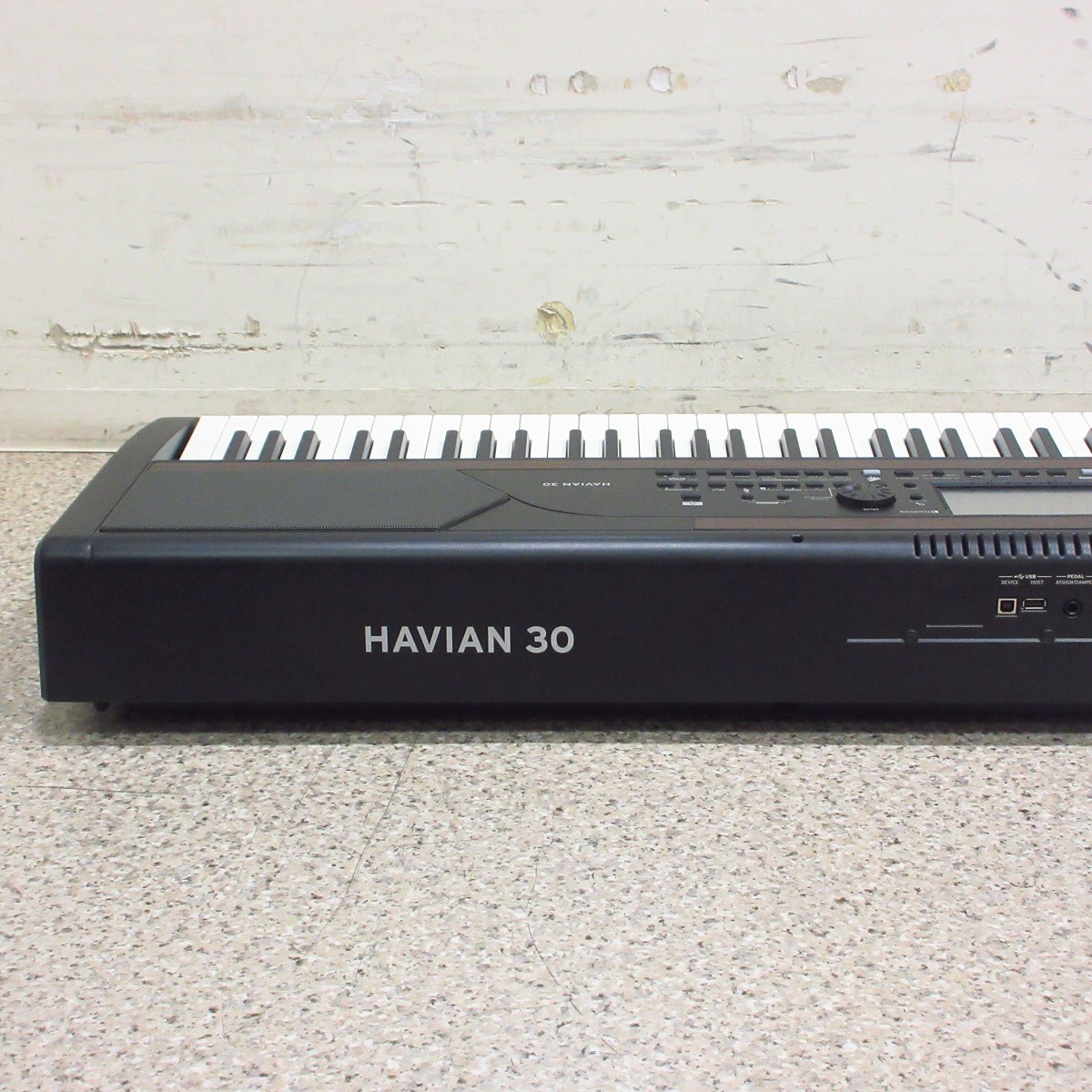 コルグ　DIGITAL KEYBOARD HAVIAN 30 手渡し希望 HAVIAN 30 - DIGITAL ENSEMBLE PIANO | KORG (USA)