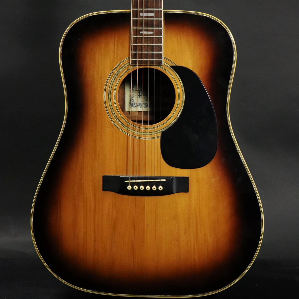 中古】Pro Martin / W-200S 【JUNK】 【梅田店】 | イシバシ楽器