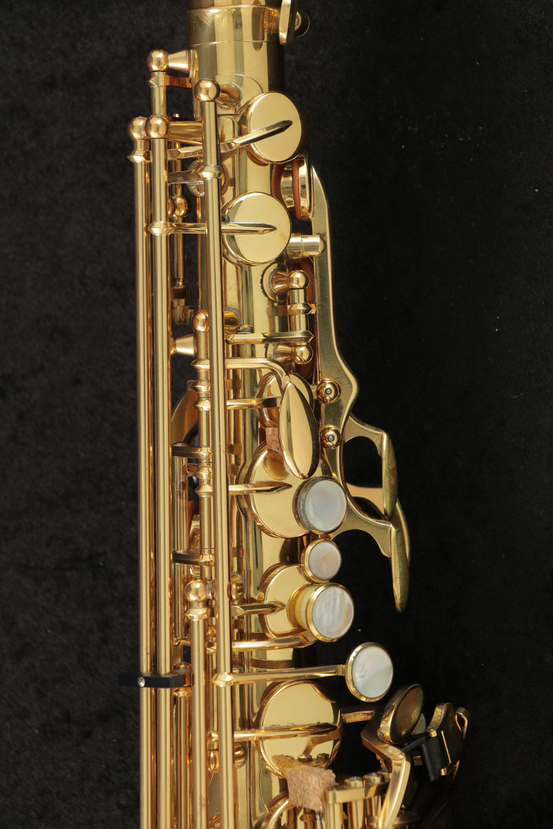 中古】 Yanagisawa ヤナギサワ / Alto A-800 エリモナ 全タンポ