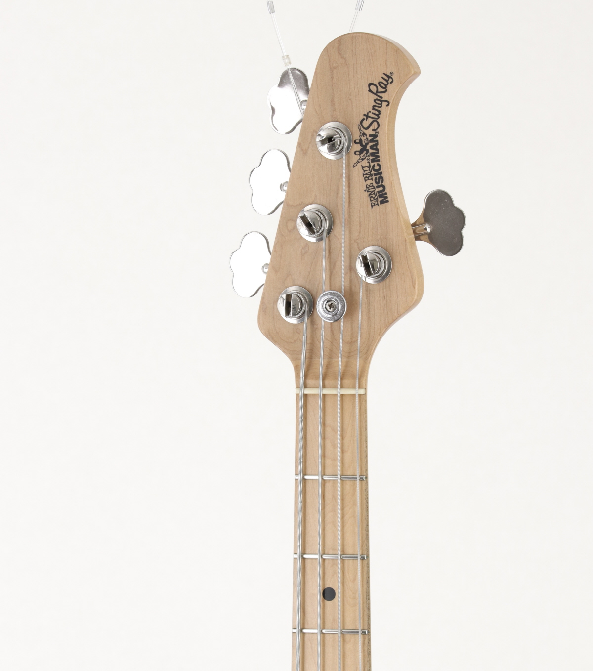 中古】 MUSIC MAN / StingRay EX NAT【御茶ノ水本店