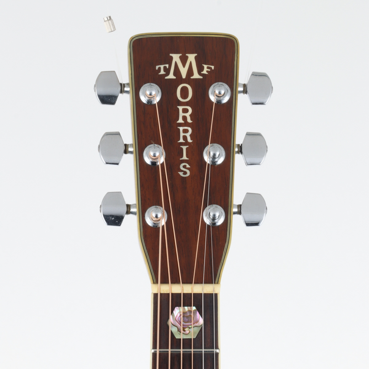 F-01 II | 生産完了品 | MORRIS GUITARS モーリスギター