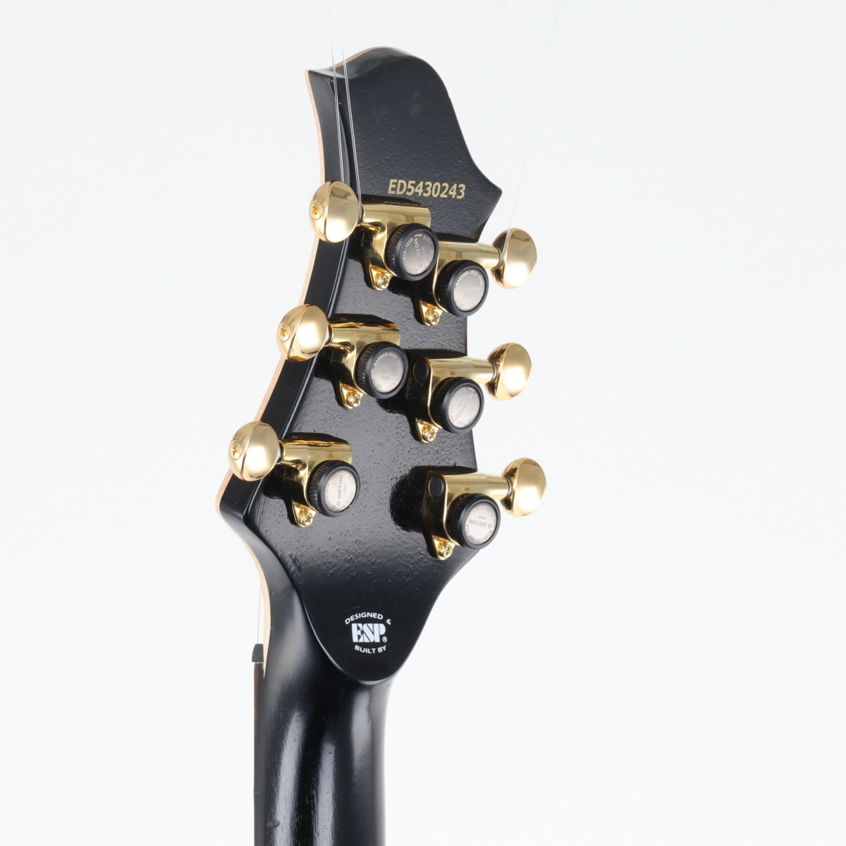 EDWARDS 一点ものギター 2014楽器フェア 【7/31まで限定出品】 EDWARDS 一点ものギター 2014楽器フェア 【7/31まで限定出品