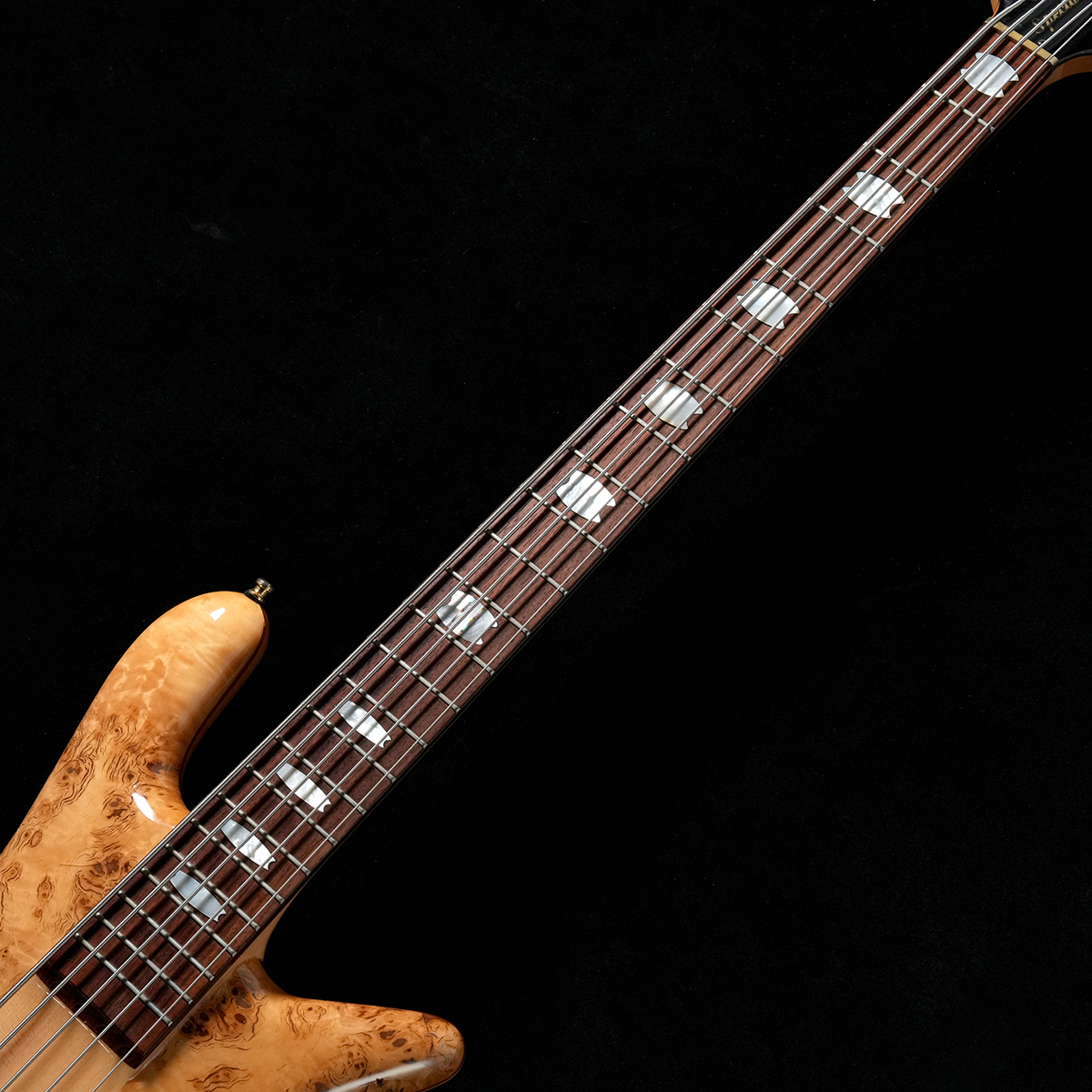 E-II SVシリーズ エレキギターSV Black w/White Stripes新品在庫