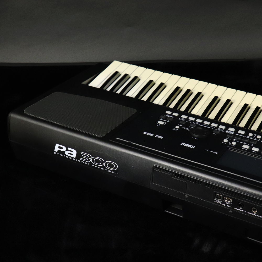 Pa300 - Professional Arranger | KORG (USA)