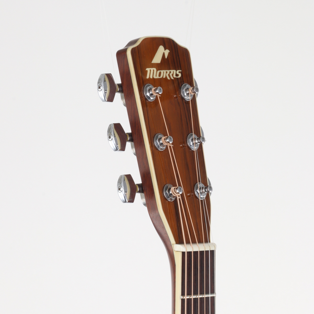 中古】Morris モーリス / MF-601 【値下げ】 | イシバシ楽器