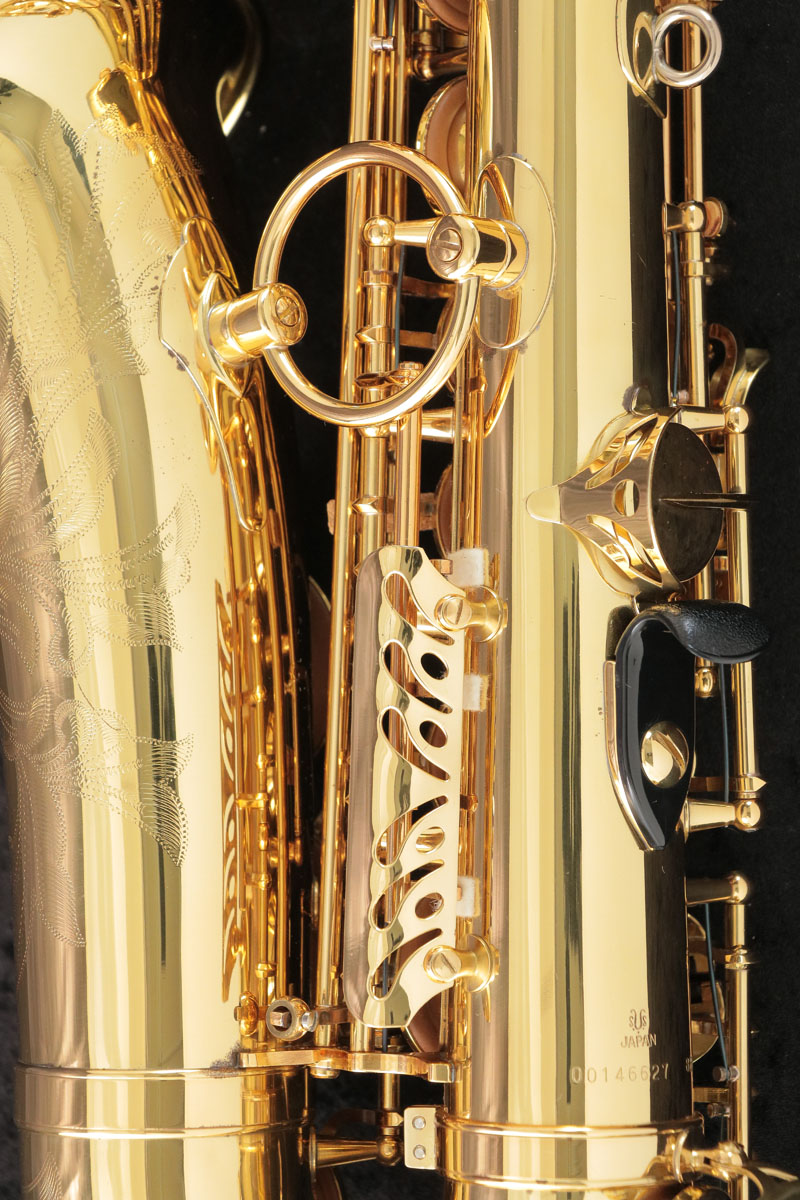 中古】 Yanagisawa ヤナギサワ / Alto A-880 ELIMONA SN