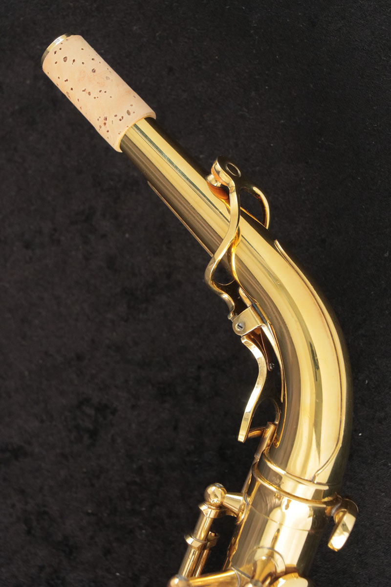 Yanagisawa A-880 ELIMONA Alto Saxophone
