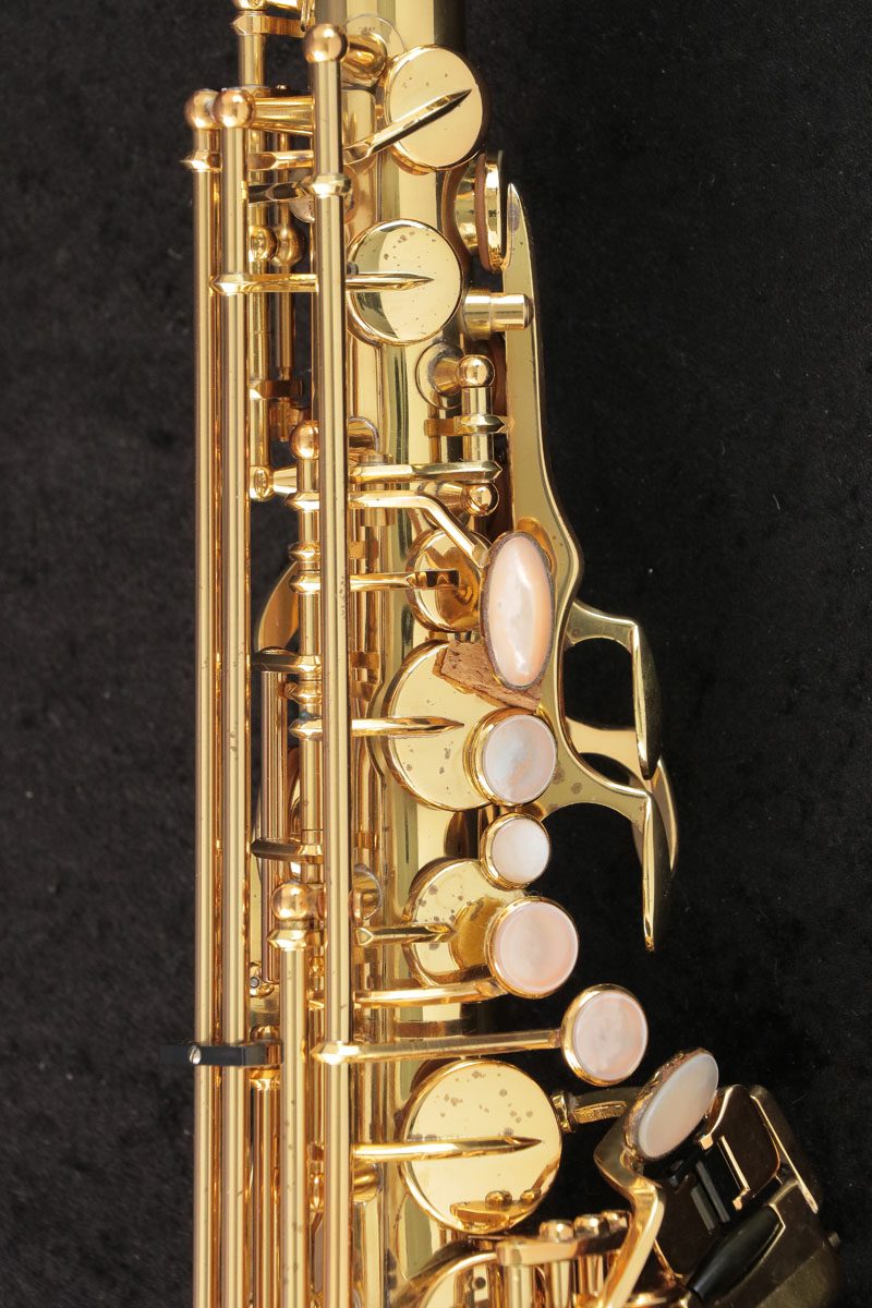 YANAGISAWA　ヤナギサワ A-880 ELIMONA アルトサクソフォン ヤナギサワ A-880 ELIMONA アルトサクソフォン