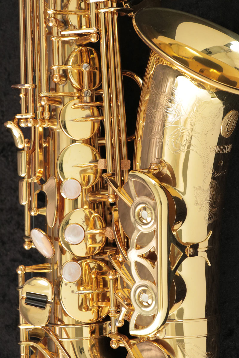 YANAGISAWA　ヤナギサワ A-880 ELIMONA アルトサクソフォン ヤナギサワ A-880 ELIMONA アルトサクソフォン