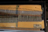 /ec/pic/product/2800003232907/2800003232907_10_s.jpg