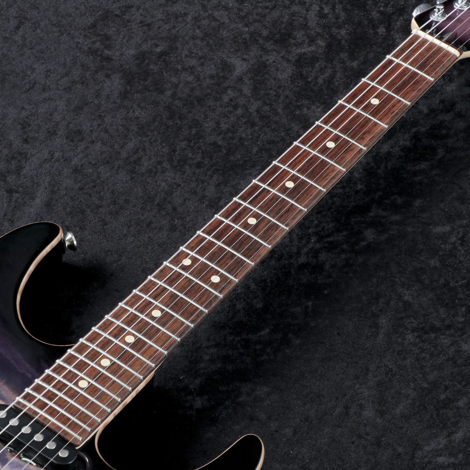 Tom Anderson 新着情報 – September 2022 – JES公式ブログ