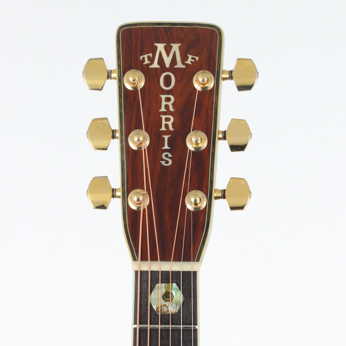 中古】Morris モーリス / TF-Series W-100 | イシバシ楽器