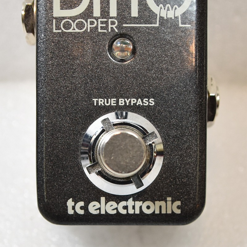 中古】TC ELECTRONIC / Ditto Looper 【心斎橋店】 | イシバシ楽器
