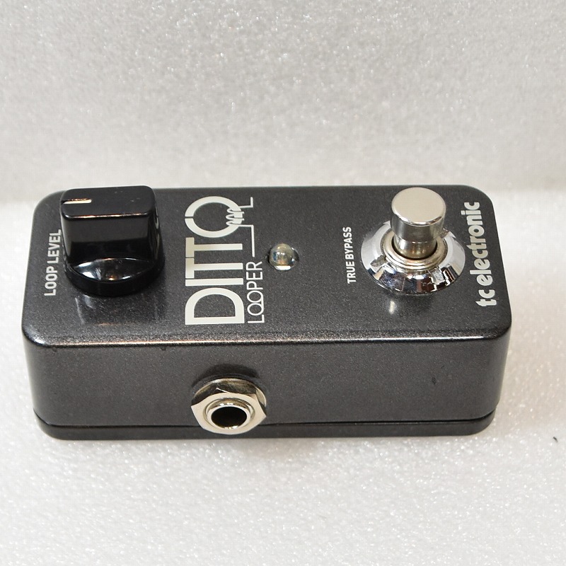中古】TC ELECTRONIC / Ditto Looper 【心斎橋店】 | イシバシ楽器