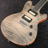 šTS GUITARS / Arc STD-24 ڸοŹ