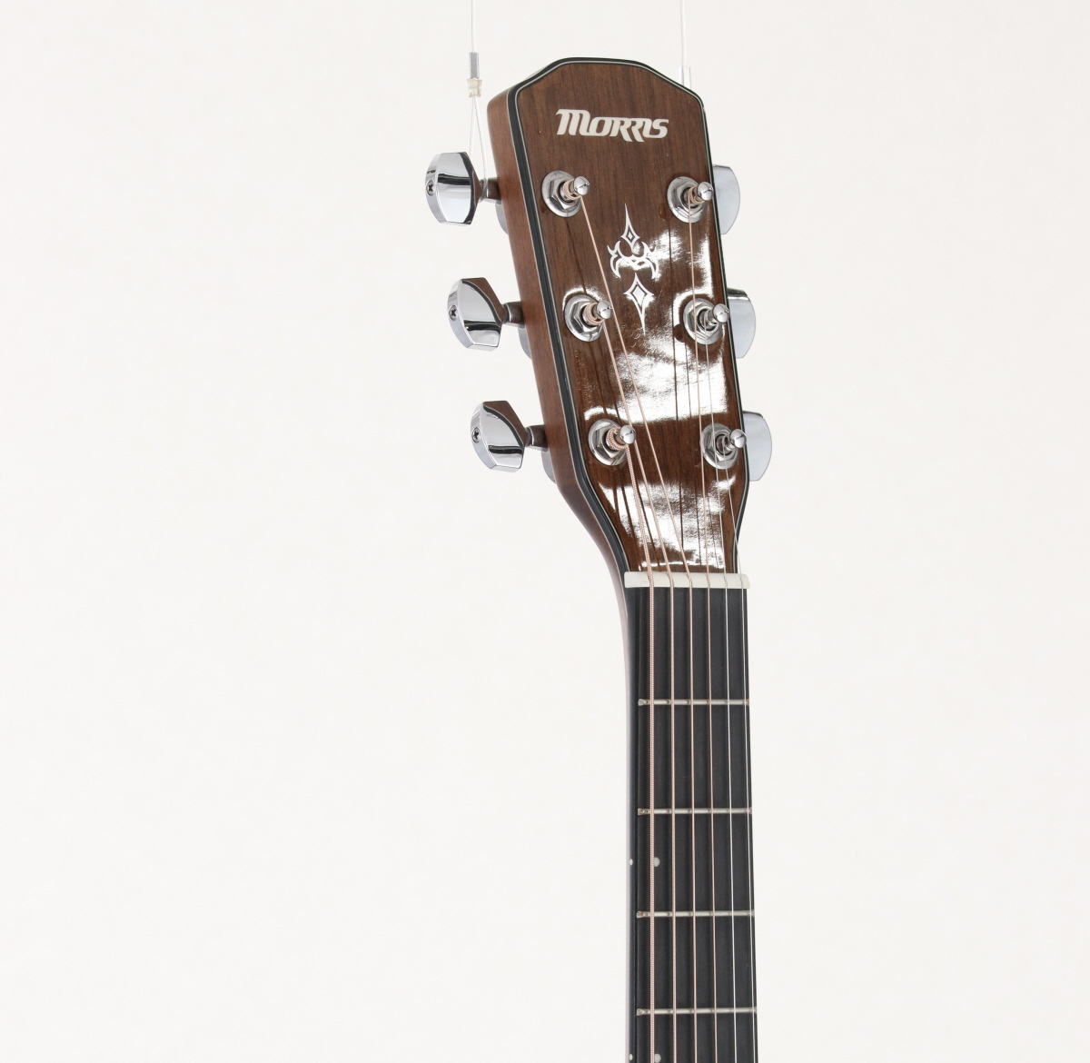アウトレット福袋 中古】Morris / F-025【S/N:23010074】【横浜店】 | イシバシ楽器 人文+社会