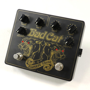 Bad Cat Siamese Dual Drive – Chicago Music Exchange