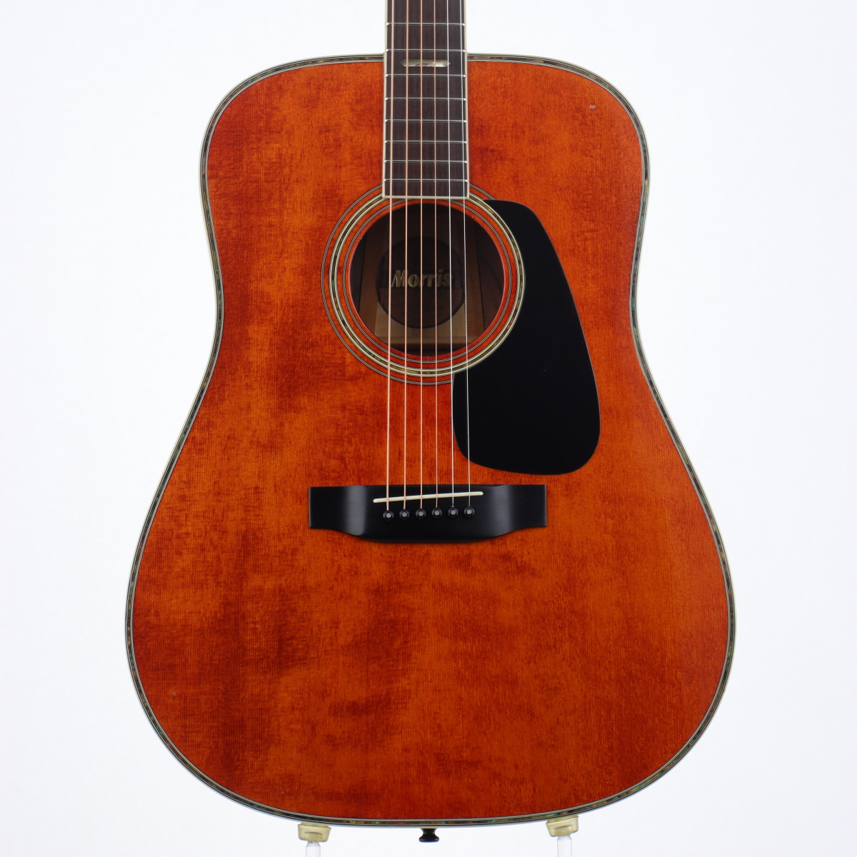 中古】Morris / TF-801 Antique Wine 【梅田店】 | イシバシ楽器