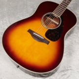 šYAMAHA / LL6 ARE  Brown Sunburst ڿŹ