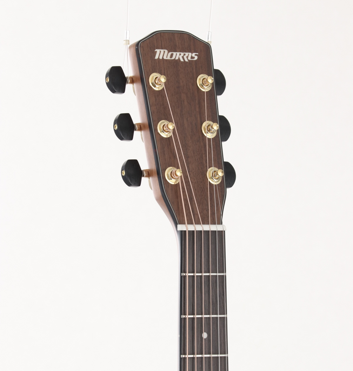 中古】Morris / S-031SP 【渋谷店】 | イシバシ楽器