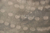 /ec/pic/product/2800003446663/2800003446663_2_s.jpg