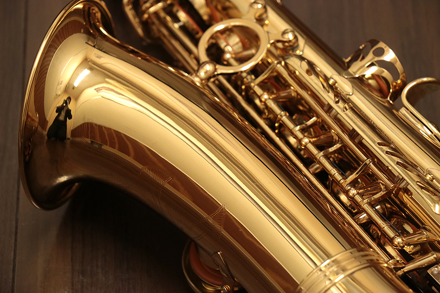 中古】yanagisawa / ヤナギサワ A-901 アルトサックス 【1年保証