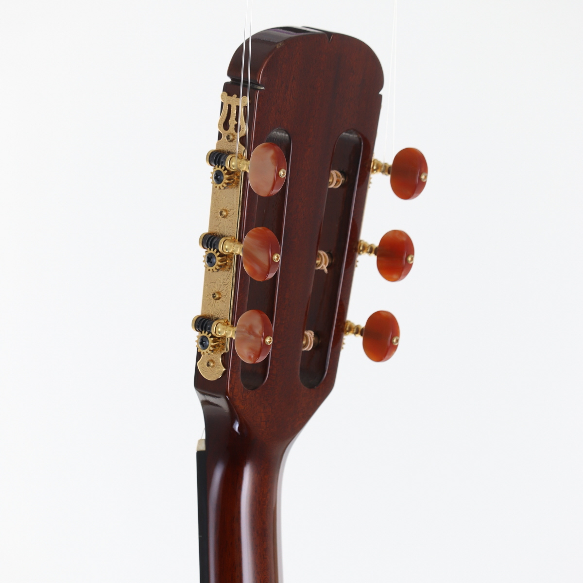 中古】Aria アリア / The Sandpiper SP-CST Natural | イシバシ楽器