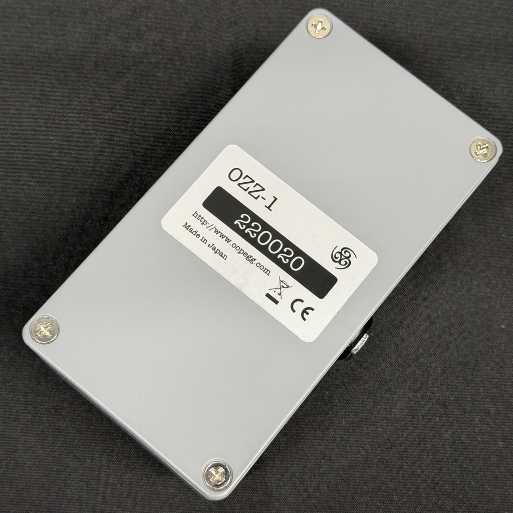 ヒッポフェアオイデス/R.hippophaeoides【現品発送】管理70490 ヒッポフェアオイデス/R.hippophaeoides【現品発送】管理70490