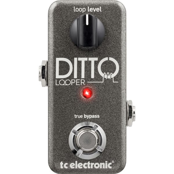 tc electronic / DITTO LOOPER 【超コンパクトで実用的なルーパー！】 | イシバシ楽器