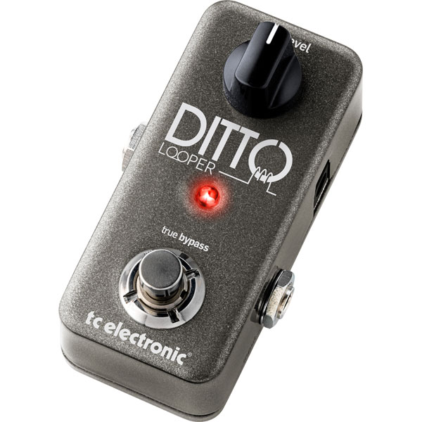 tc electronic / Ditto Looper ルーパー【国内正規品