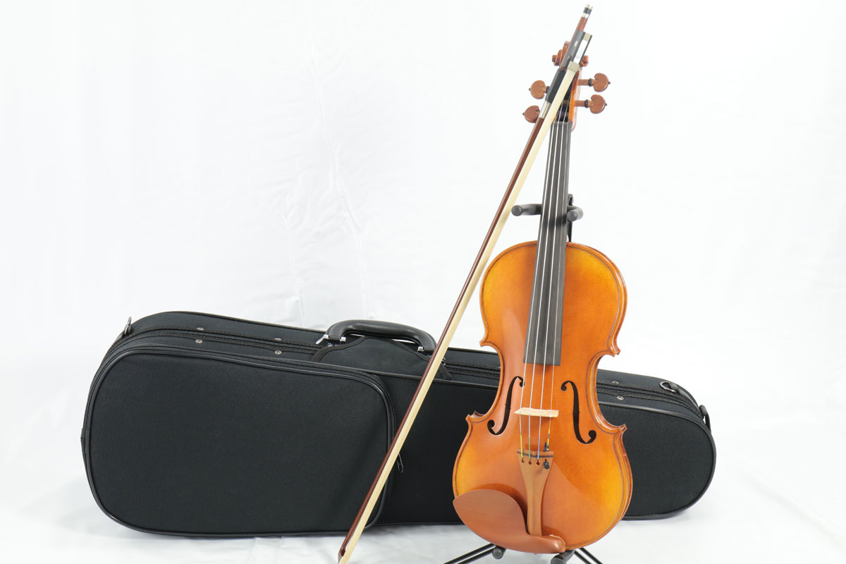Carlo giordano / VS-2 バイオリンセット 1/2 【バイオリンアウトフィット】 Violin Set カルロジョルダーノ 入門  初心者 ヴァイオリン【お取り寄せ商品】 | イシバシ楽器