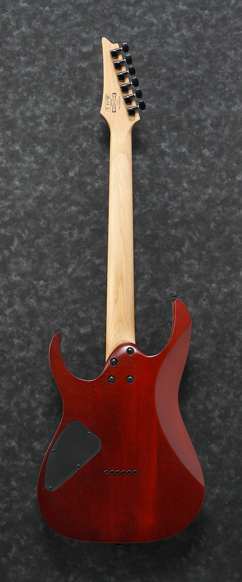 Ibanez / RGEW521FM Natural Flat (NTF) アイバニーズ