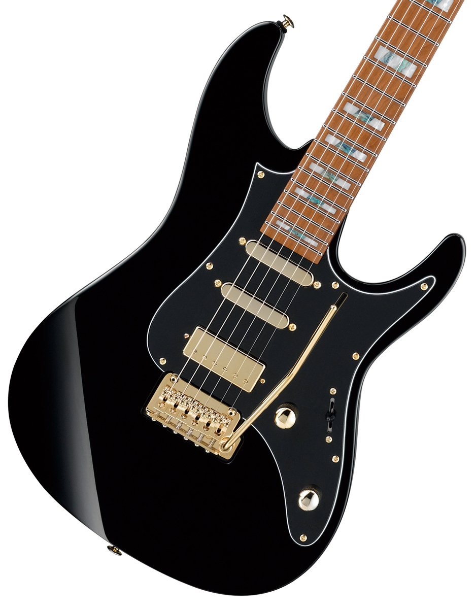 Ibanez / Tim Henson Signature Model THBB10 ティム・へンソン ポリフィア Ibanez / Tim Henson Signature Model THBB10 ティム・へンソン ポリフィア