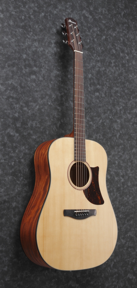 Ibanez / Advanced Acoustic Dreadnought AAD100-OPN (Open Pore