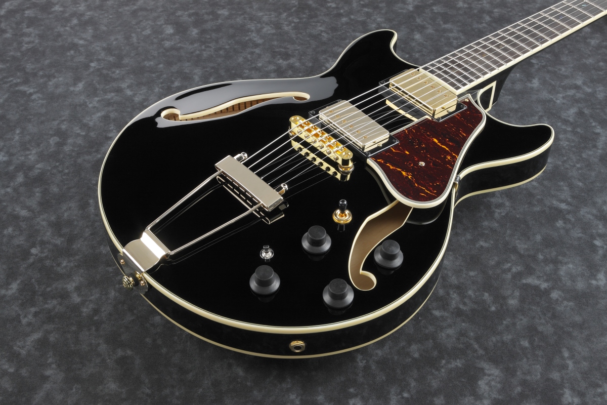 アイバニーズ PN29E | PERFORMANCE | ACOUSTIC GUITARS | PRODUCTS | Ibanez