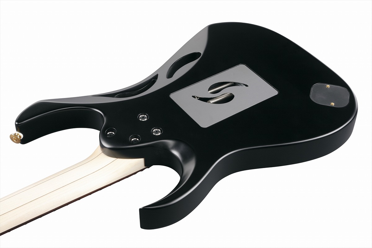 【新品未使用】 Ibanez pia 3761 エレキギター ハードケース付き Ibanez PIA3761-SLW [Paradise in Steve Vai new signature