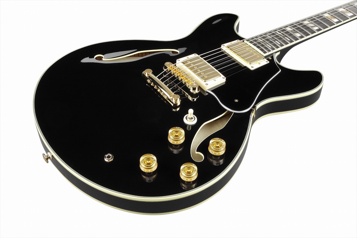 Ibanez / JSM20TH-BK John Scofield Signature Guitar 20th
