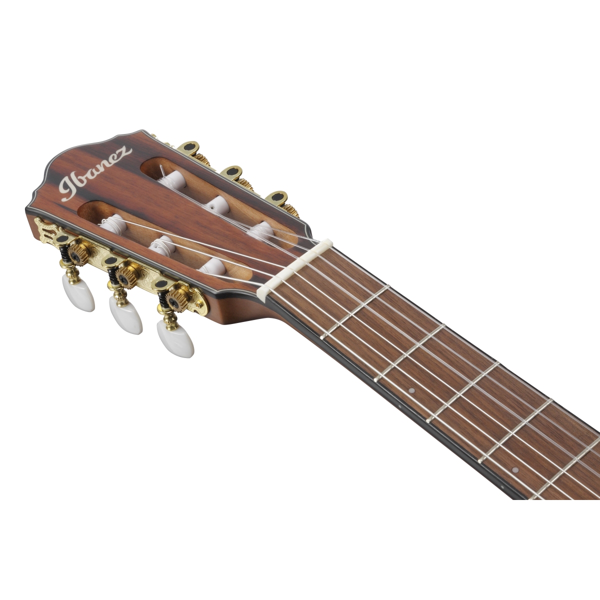 Ibanez / ”Nylon Electric Guitar” FRH10N-BSF (Brown Sunburst Flat