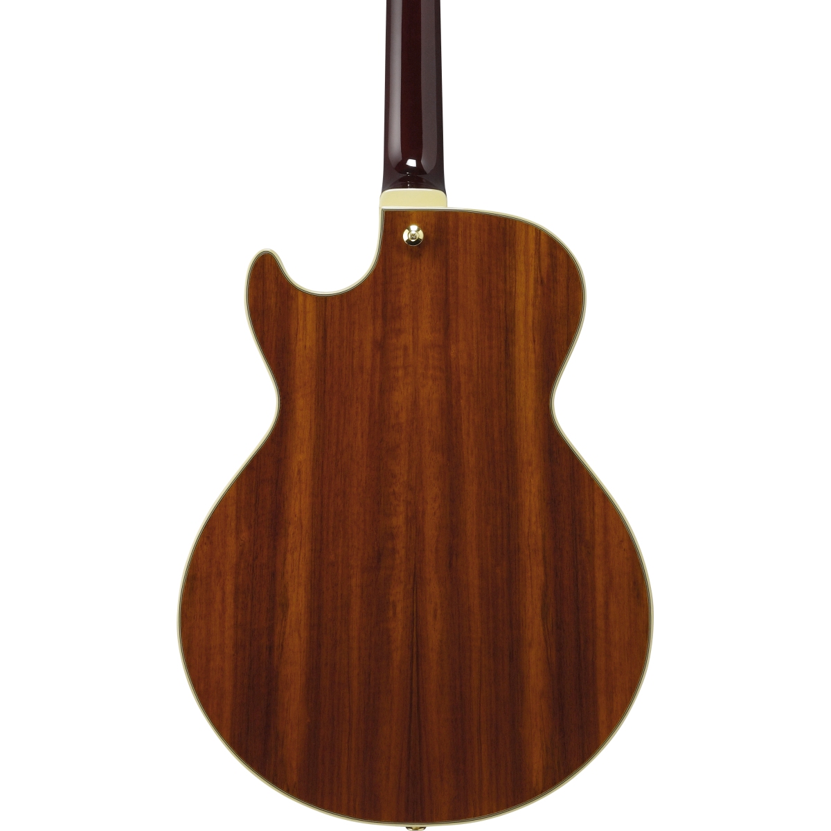 WEBSHOPクリアランスセール》Ibanez / Artcore Expressionist