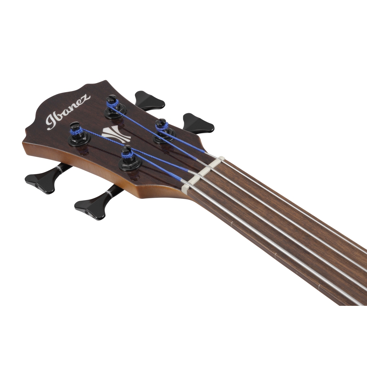 Ibanez / AEGB24FE-MHS (Mahogany Sunburst High Gloss