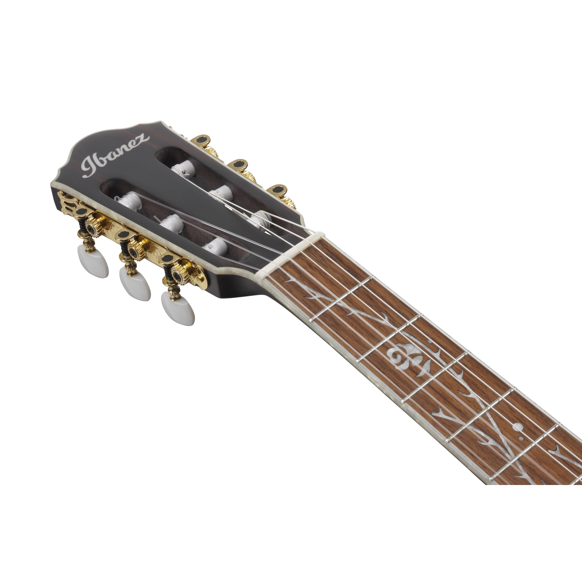 TOD10NL | TOD | ACOUSTIC GUITARS | PRODUCTS | Ibanez guitars