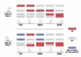 /ec/pic/product/4549763363503/4549763363503_12_s.jpg