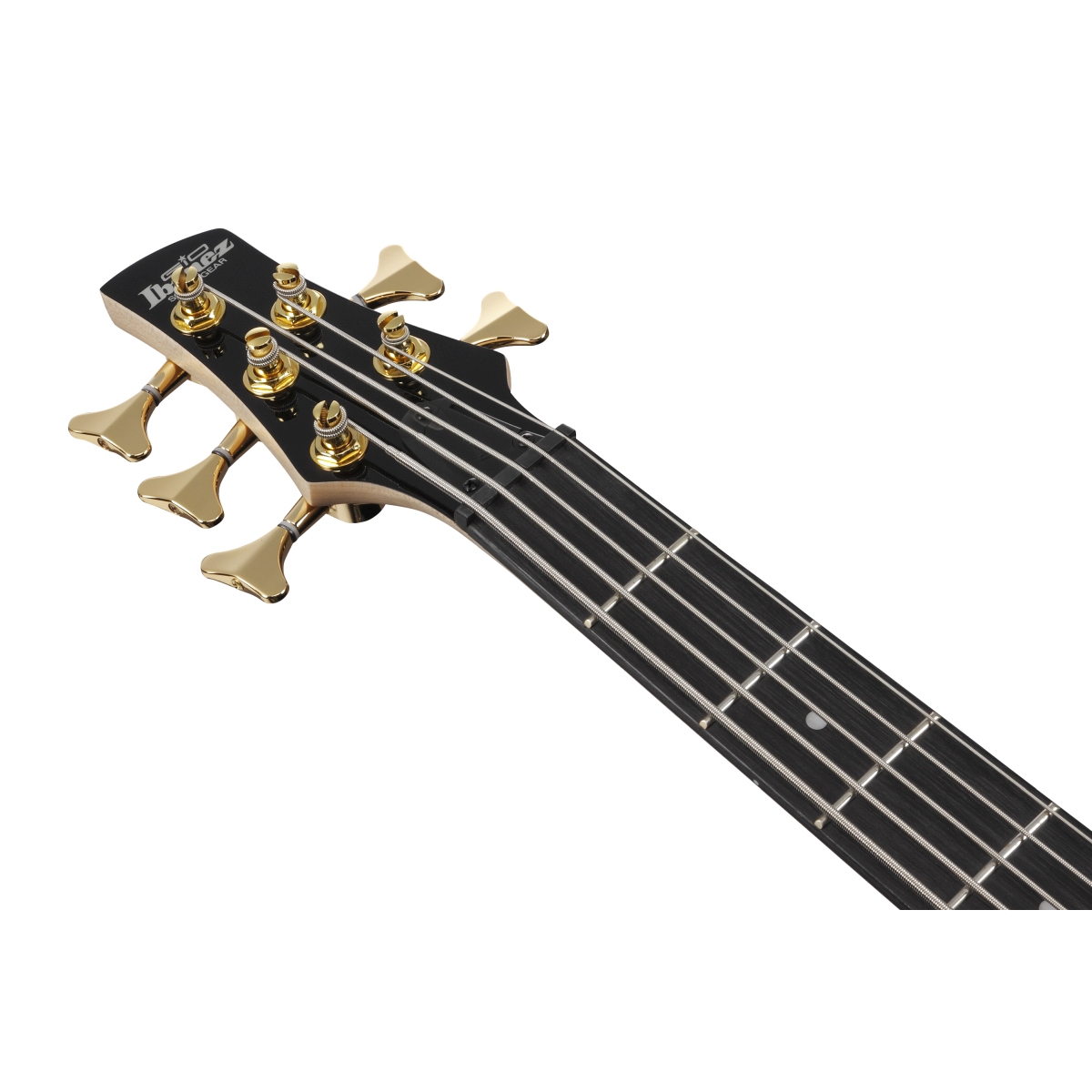 Ibanez / Gio GSR205PC-TMU (Transparent Marine Burst