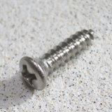 Montreux / Pickguard screws Fender style inch Stainless (20) (0966) ͥ ȥ롼