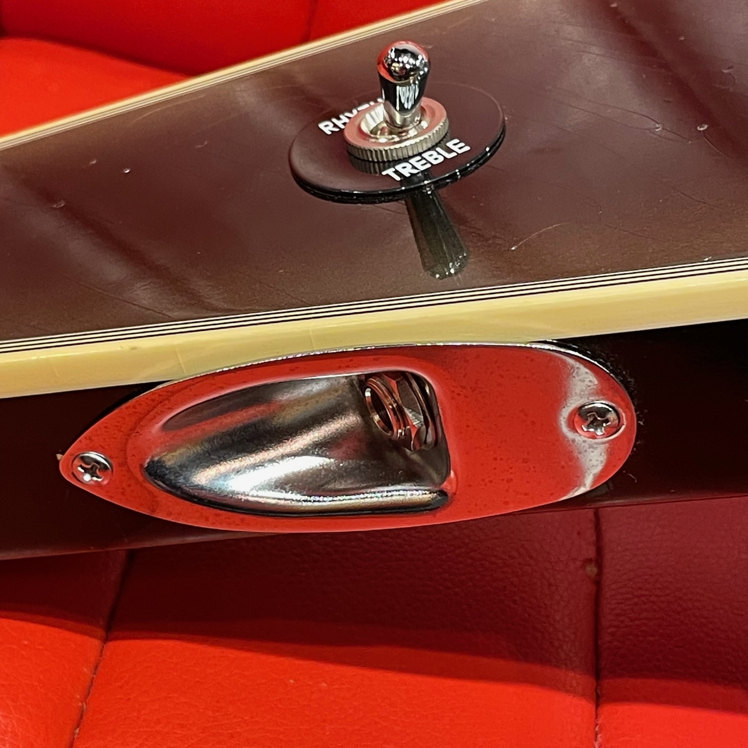 Gibson Custom Shop / Adam Jones Flying V Collector's Edition