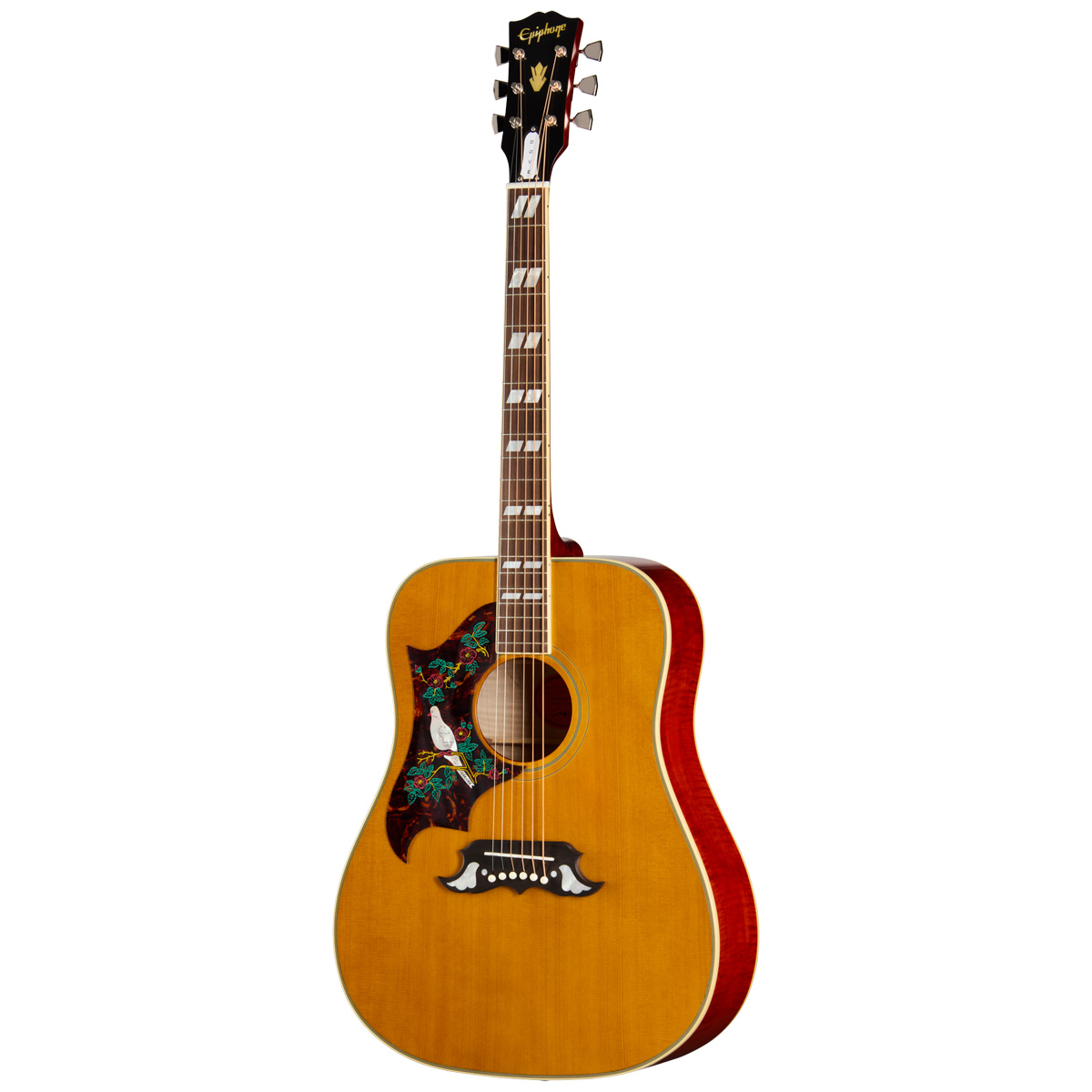 【プレゼント当選品】Epiphone DOVE NAアコースティックギター Amazon.com: Epiphone Dove Studio Solid Top Acoustic Electric