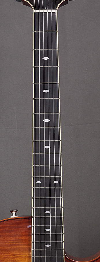 Sadowsky Semi Hollow Violin burst セミアコ SadowskySemi Hollow Model -Violin Burst-【2.79kg】【金利0