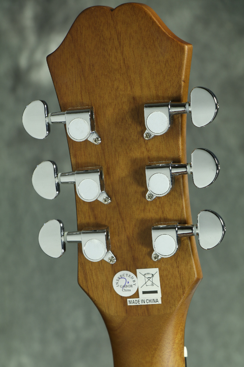Epiphone / J-15 EC Deluxe Natural (AJ-210CE) 【ハードケース