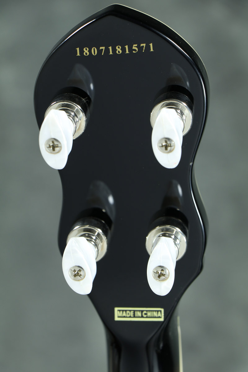 極美品！Epiphone エピフォン 5弦 バンジョー Mayfair 極美品！Epiphone エピフォン 5弦 バンジョー Mayfair - 弦楽器